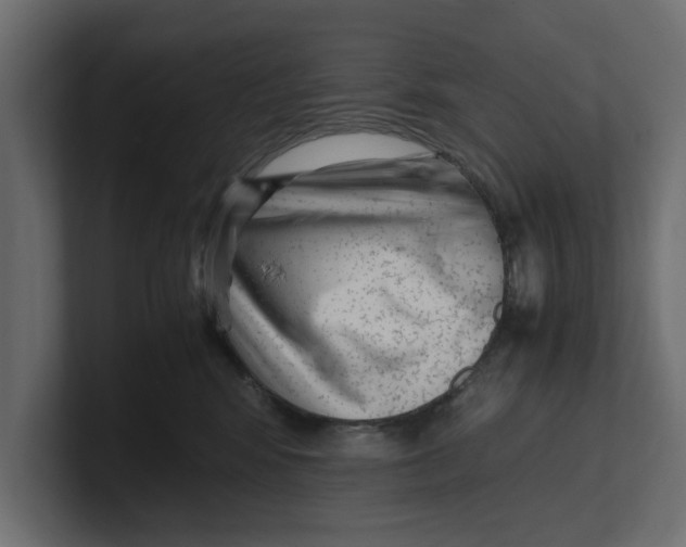 X0000100350424200806271406