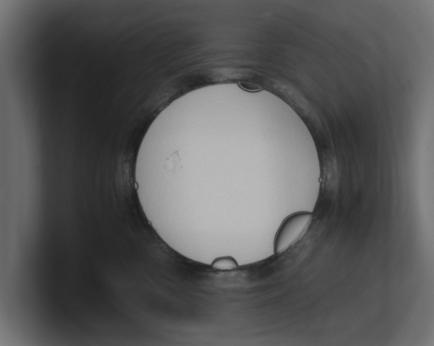 X0000100350426200806271406