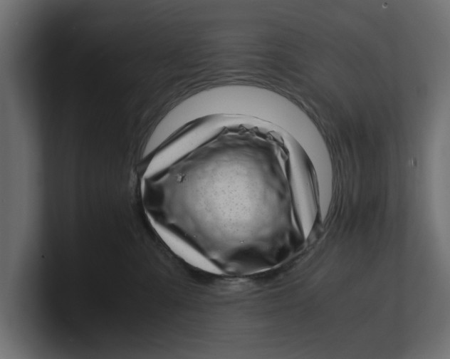 X0000100350427200806271406