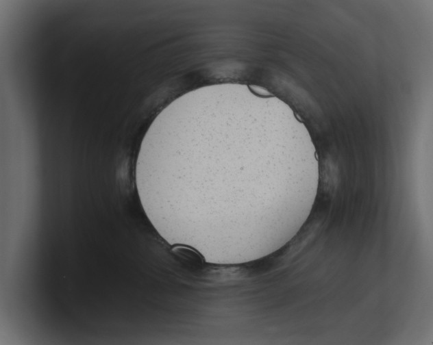 X0000100350428200806271406