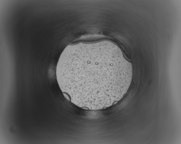 X0000100350432200806271406