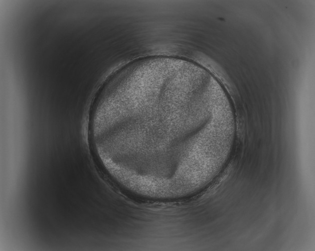 X0000100350434200806271405