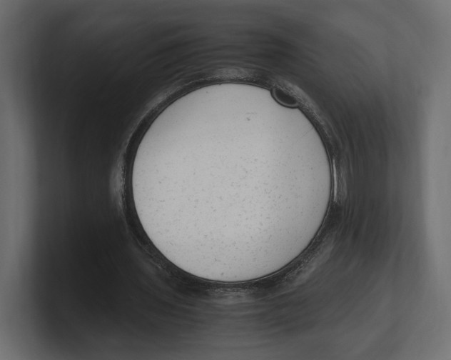 X0000100350435200806271405