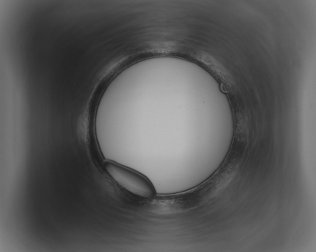 X0000100350440200806271405