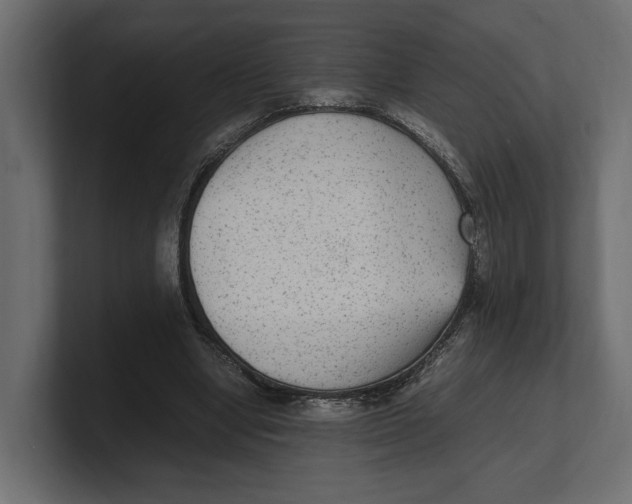 X0000100350442200806271405