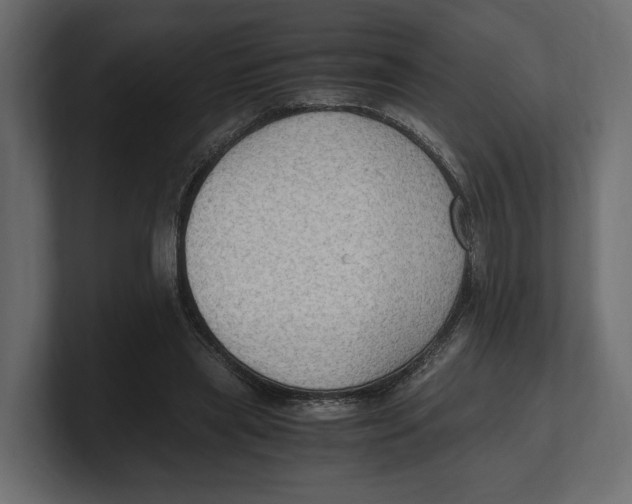 X0000100350445200806271405