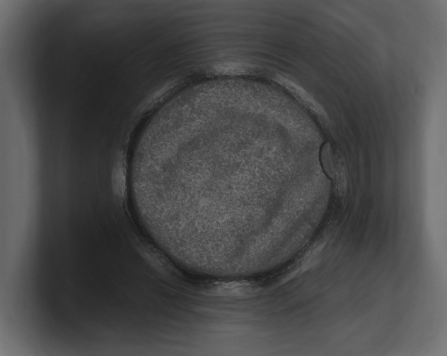 X0000100350446200806271405