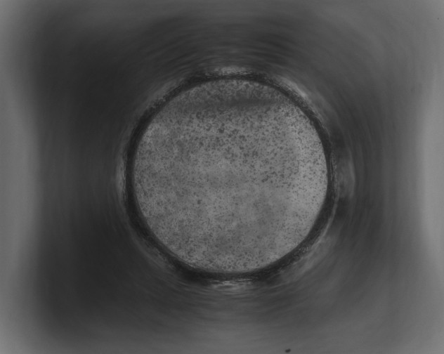 X0000100350447200806271405