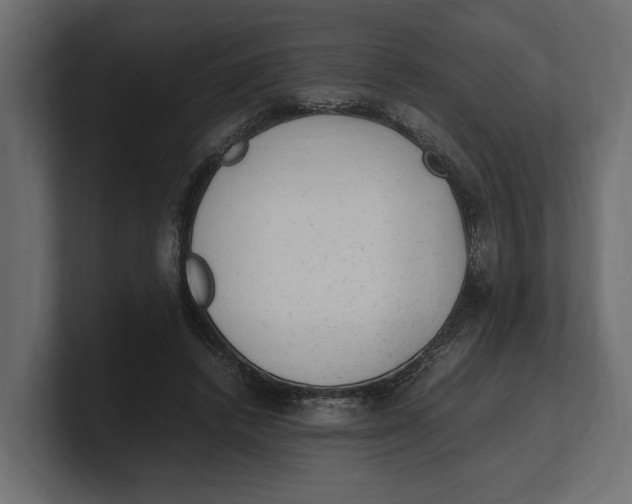 X0000100350448200806271405