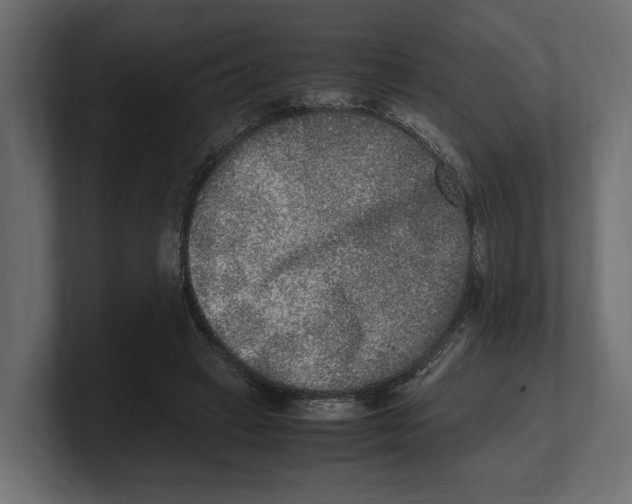 X0000100350449200806271405