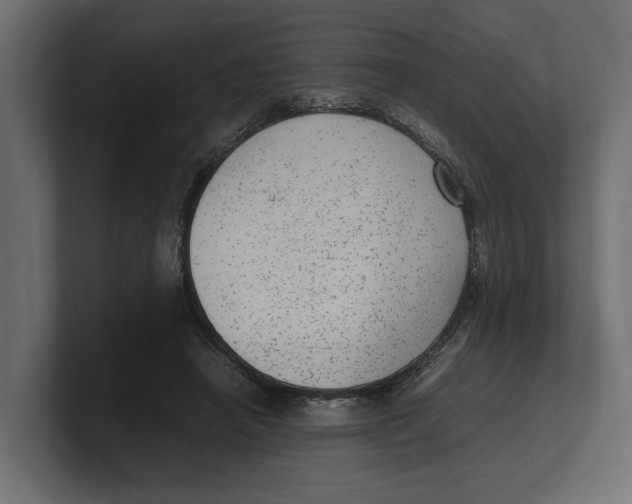 X0000100350450200806271405