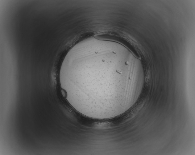 X0000100350452200806271405