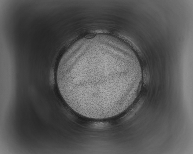 X0000100350453200806271405