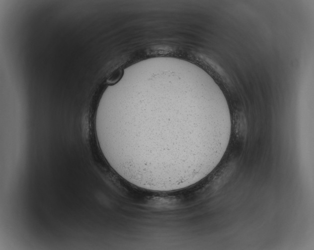 X0000100350455200806271405