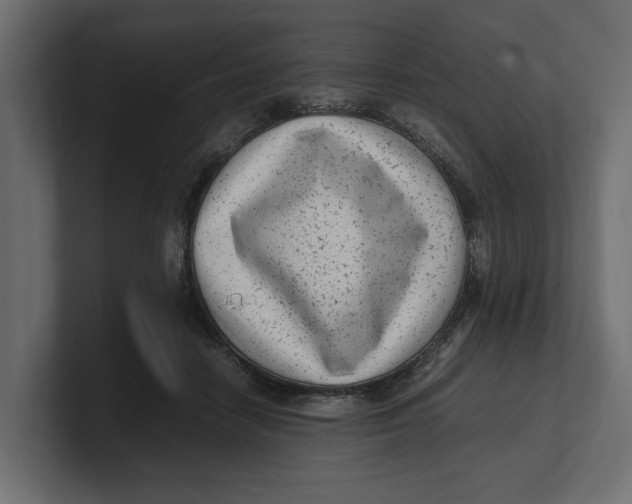 X0000100350458200806271405