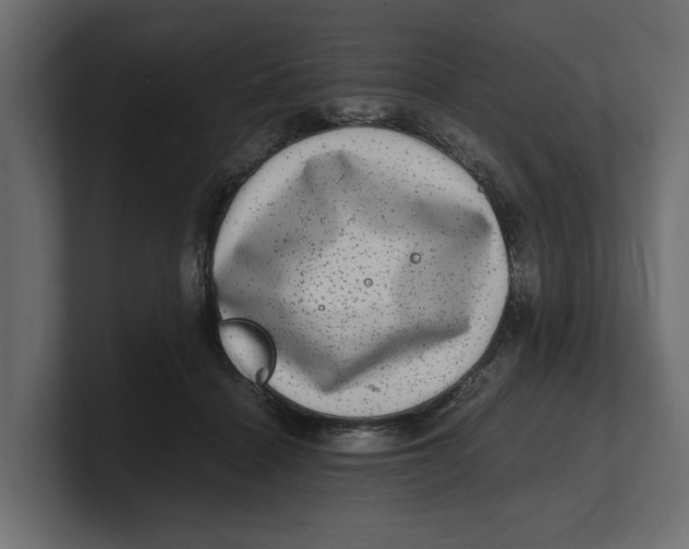 X0000100350460200806271405