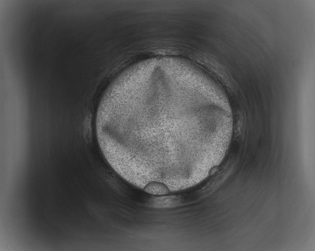 X0000100350461200806271406