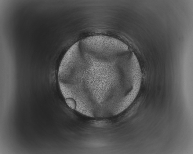 X0000100350462200806271406