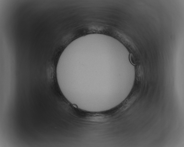 X0000100350463200806271406