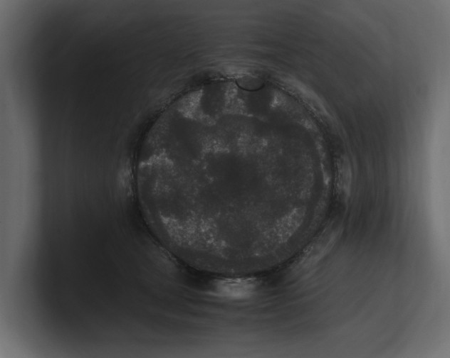 X0000100350465200806271406