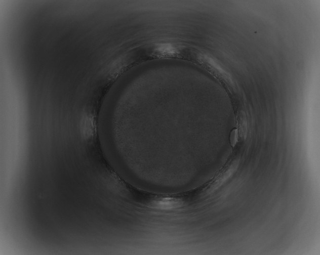 X0000100350467200806271406