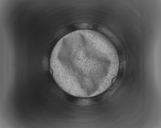 X0000100350469200806271406