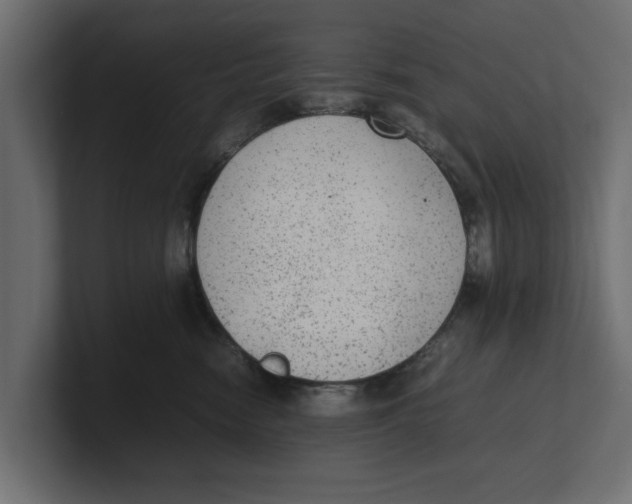 X0000100350474200806271406