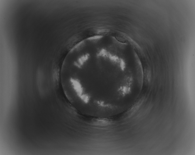 X0000100350475200806271406