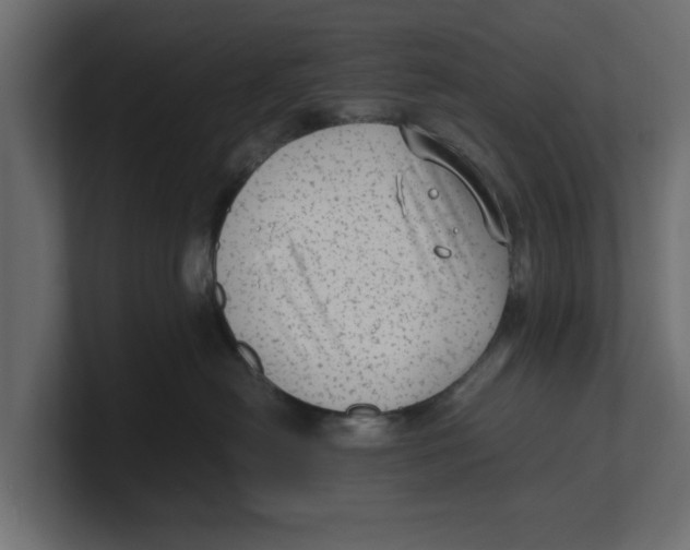 X0000100350478200806271406