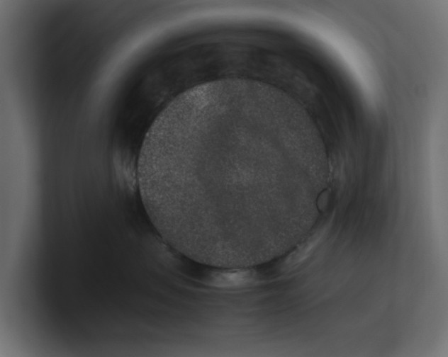 X0000100350479200806271406