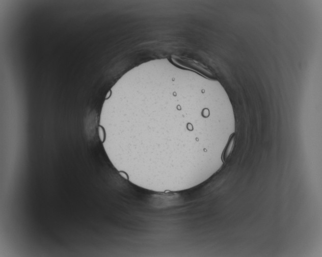 X0000100350480200806271406