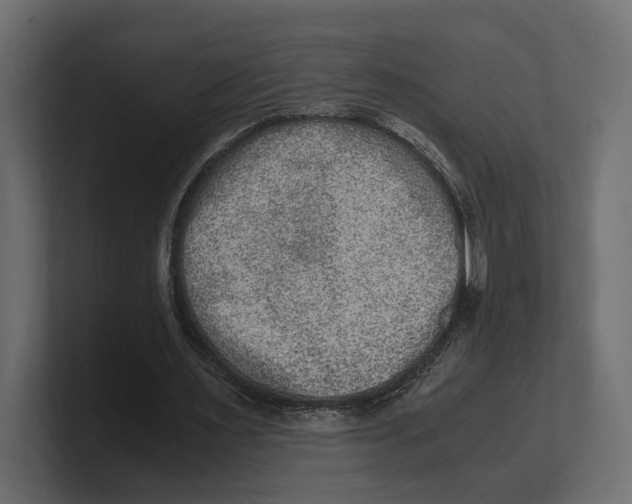 X0000100350483200806271405