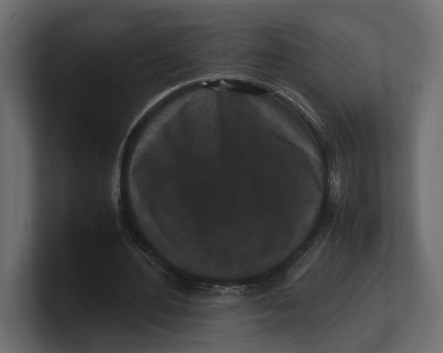 X0000100350484200806271405