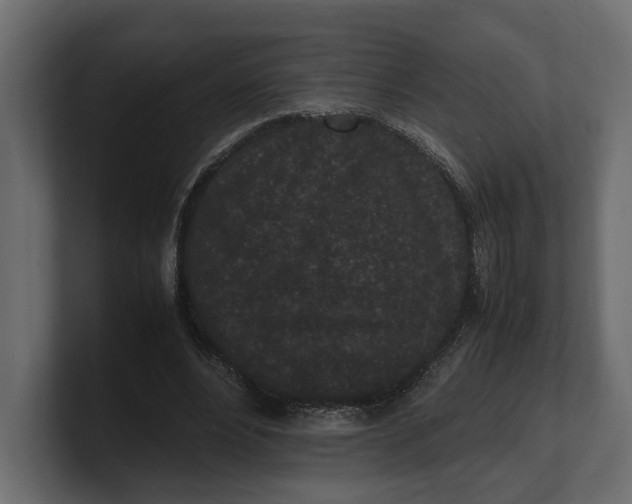 X0000100350488200806271405