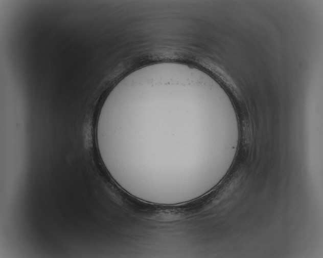 X0000100350489200806271405