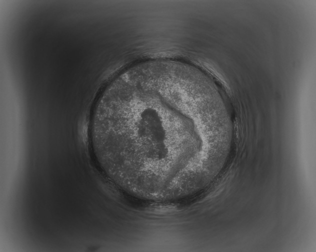 X0000100350491200806271405