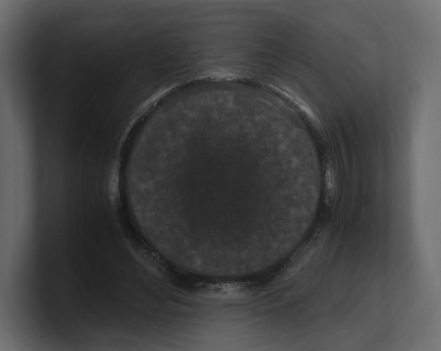 X0000100350492200806271405