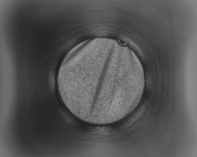 X0000100350493200806271405