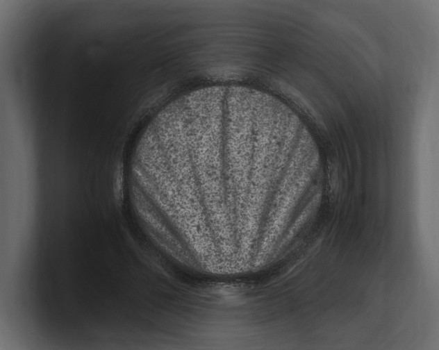 X0000100350494200806271405