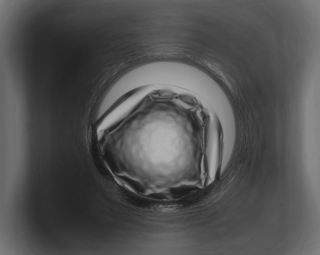 X0000100350495200806271405