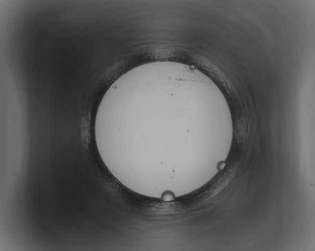 X0000100350497200806271405