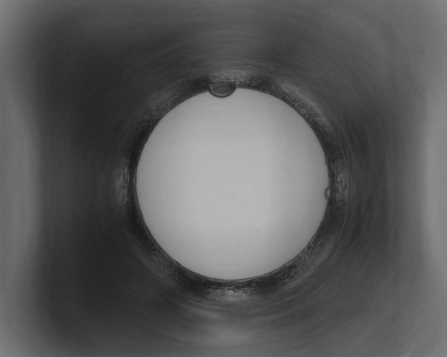 X0000100350498200806271405