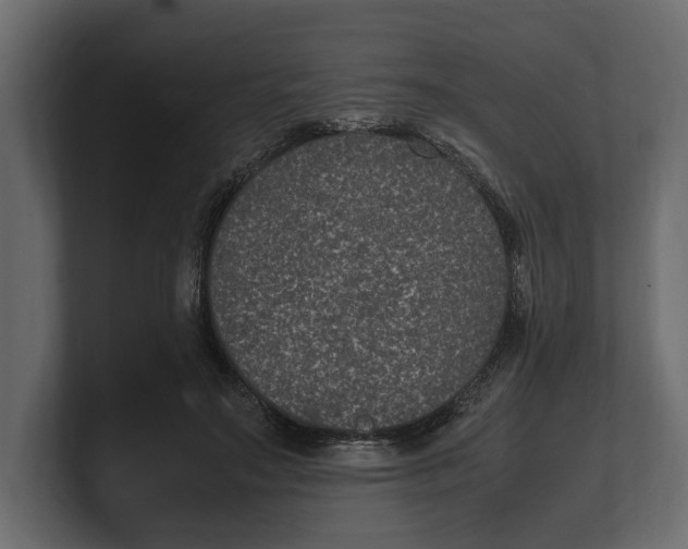 X0000100350499200806271405