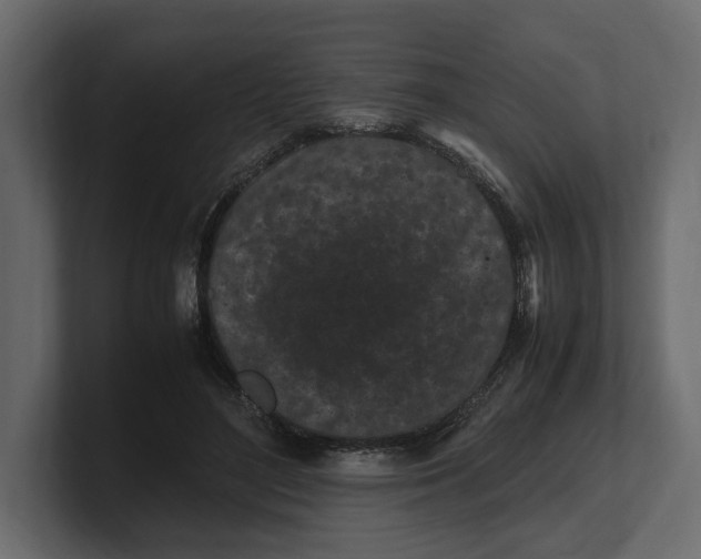 X0000100350500200806271405