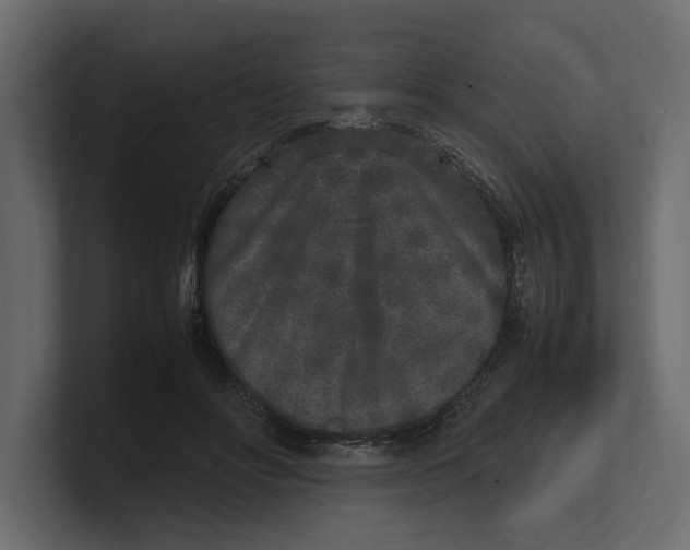 X0000100350502200806271405