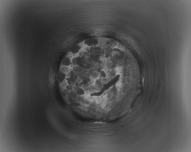 X0000100350503200806271405