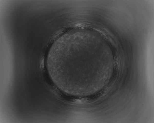 X0000100350504200806271405