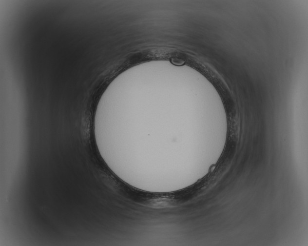 X0000100350505200806271405