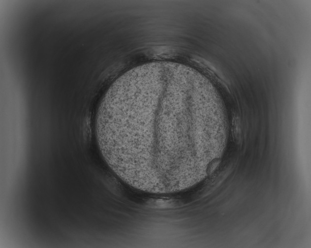 X0000100350506200806271405