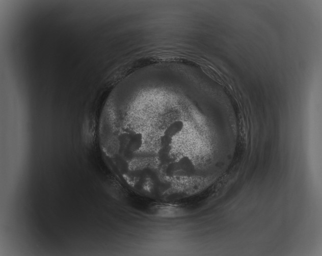 X0000100350507200806271405